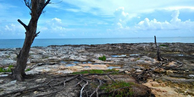 New EU/CARIFORUM project coordinated by PAHO will tackle climate change and health impacts in the Caribbean